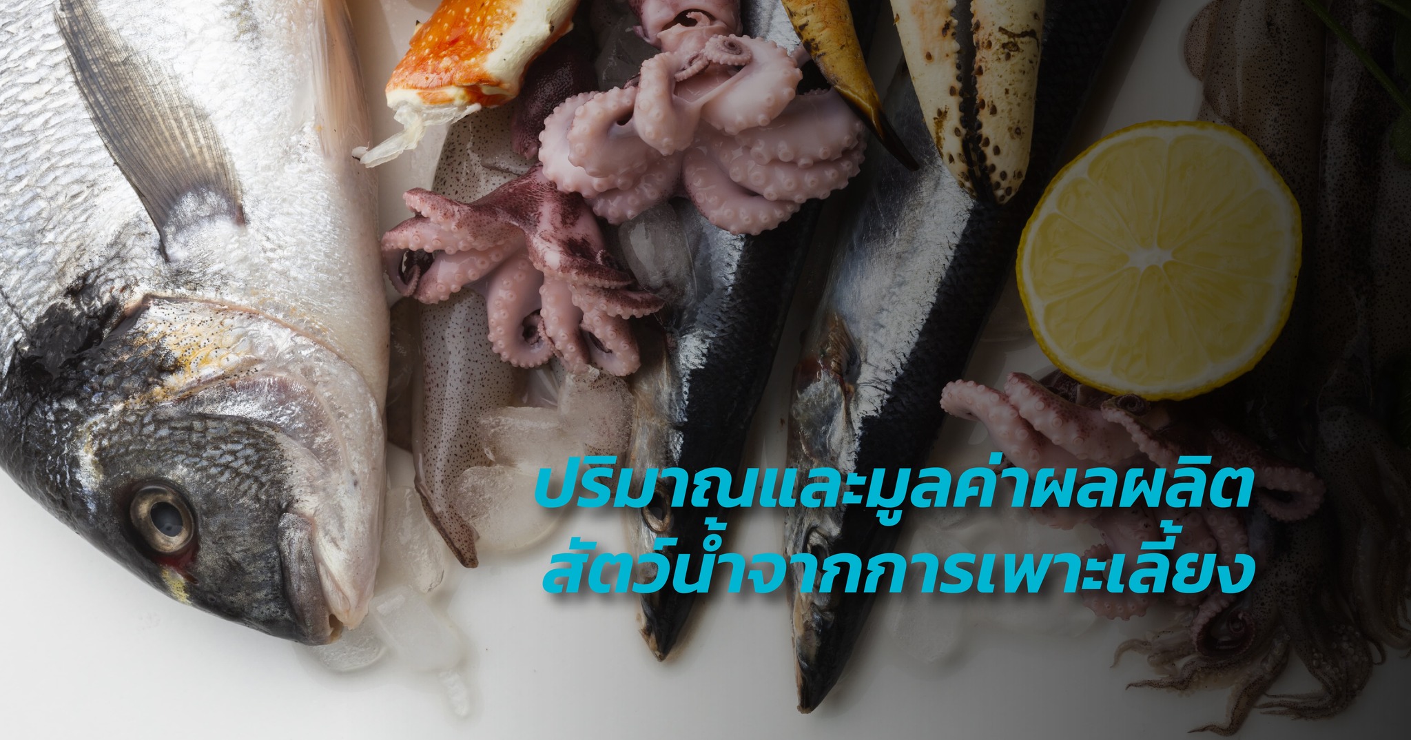 ปริมาณและมูลค่าผลผลิตสัตว์น้ำจากการเพาะเลี้ยง